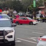 Maggie Fung Murder-Suicide:Maggie Fung Murder-Suicide: The Traitors Star Jade Scott Says Mother and Half-Sister Died Tragically