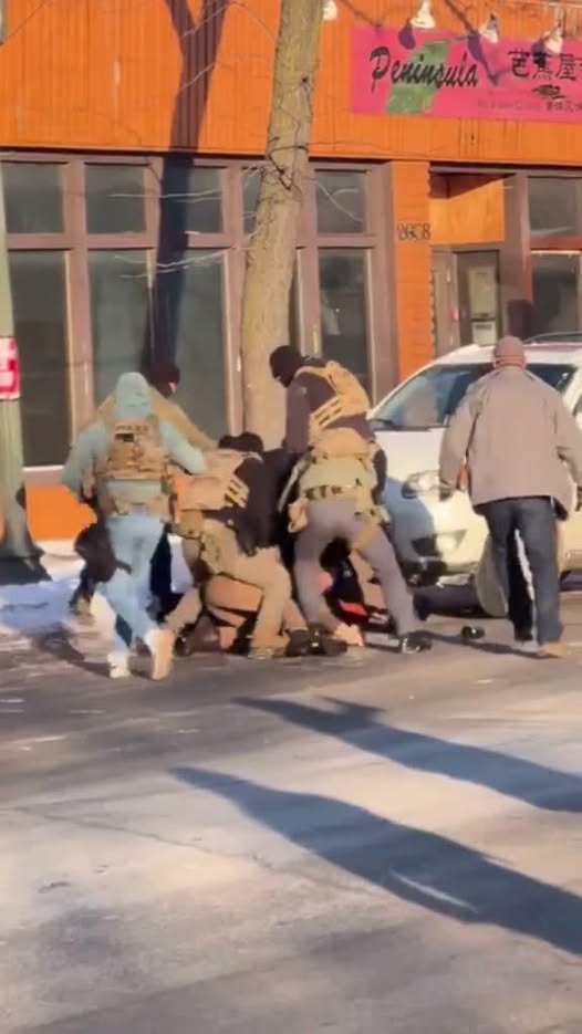 DHS Probes Whether Accidental Discharge Helped Spark Fatal Alex Pretti Shooting