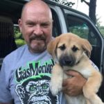Chris Haverly Car Accident, Obituary, Death: Founder Of Tri-State Animal Rescue Dies In Crash