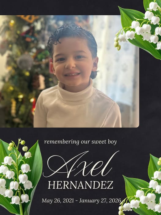 Axel Hernandez, Rochester,NY Obituary, Death: Beloved Son Remembering