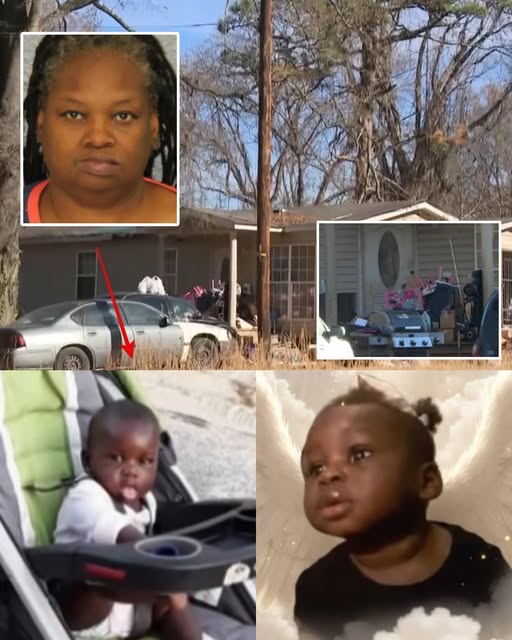 Six-Year-Old Girl Dies After Severe Abuse Discovered Inside Gwynne Hill Road Home