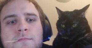 Lukes James Ball Austin Accident: Family and Friends Mourn the loss of Lukes James Ball Dies in Accident