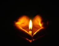 Principal Brent Kline issues statement after Palo Alto High School (Paly) student Summer Mehta suicide