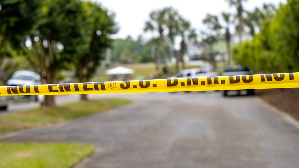 Diane Emily Pellington Murphy, NC Death: North Carolina Woman Mauled to Death by Neighborhood Dogs in Cherokee County, Diane Emily Pellington age 74 of Murphy, North Carolina Mauled to Death by a Group of Dogs