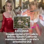 DUI Arrest in Ventura County: CHP Officers Take Spears into Custody After Alleged Erratic Driving