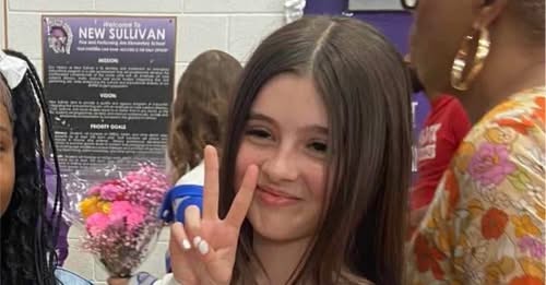 Violet D. Harris Chicago, Illinois Car Accident; The Community and Loved Ones Mourn the Heartbreaking Loss of Violet D. Harris