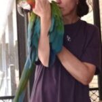 Dr. Carina Joubert Twin Waters, Australia Death: Dr. Carina Joubert Twin Waters, Australia Death: Owner and Lead Physician of Twin Waters Medical Practice Passes Away