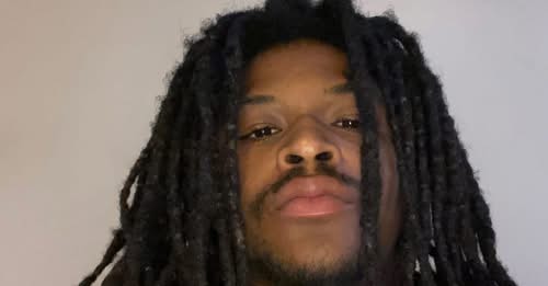 Bria Fleming South Holland, IL Accident: In Loving Memory of Bria Fleming who Dies in Tragic Road Accident