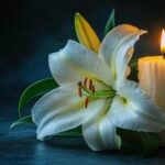Angie Miguel, New Mexico, Obituary, Death: In Loving Memory Of Angie Miguel, Who Sadly Passed Away In a Devastating Accident