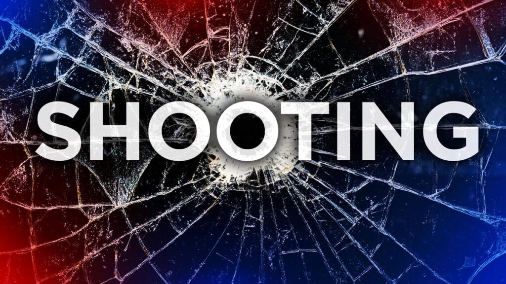 Shooting in East Meadow NY Today: Eisenhower Park Shooting Reported as Heavy Police Presence Seen in Nassau County