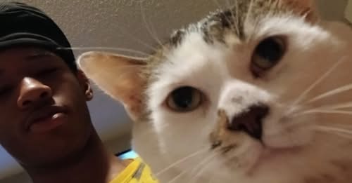 Kamarcus Sowell-Butler Shooting News: 18-Year-Old Teens Killed in Tragic Shooting Incident at 1500 block of Autumn Village Drive