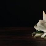 Moira Menninga Obituary, Death: Moira Menninga has Died